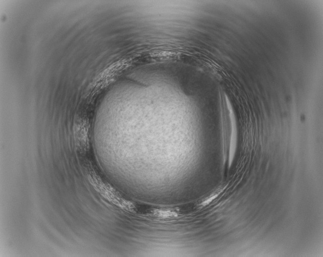 X0000053050662200507251424