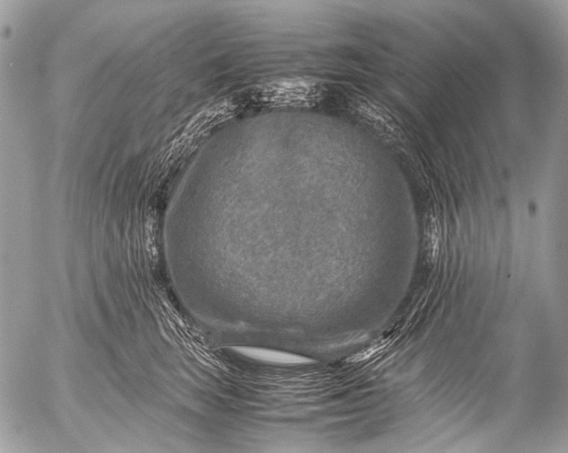 X0000053050663200507251424