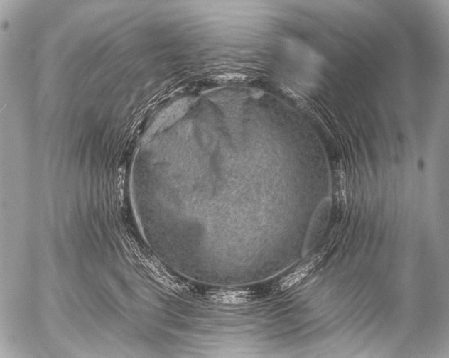 X0000053050664200507251424