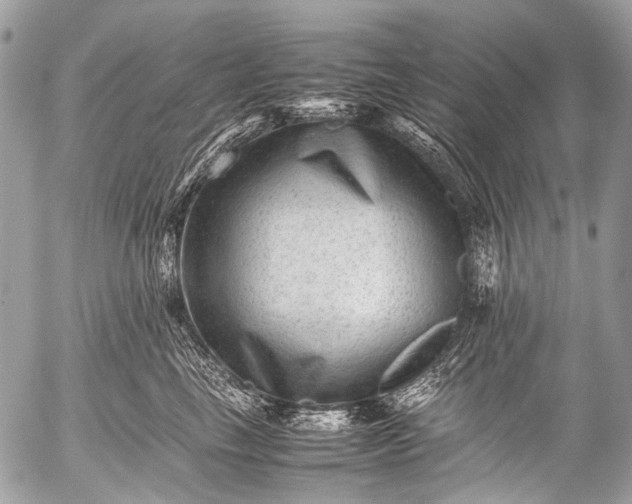 X0000053050665200507251424