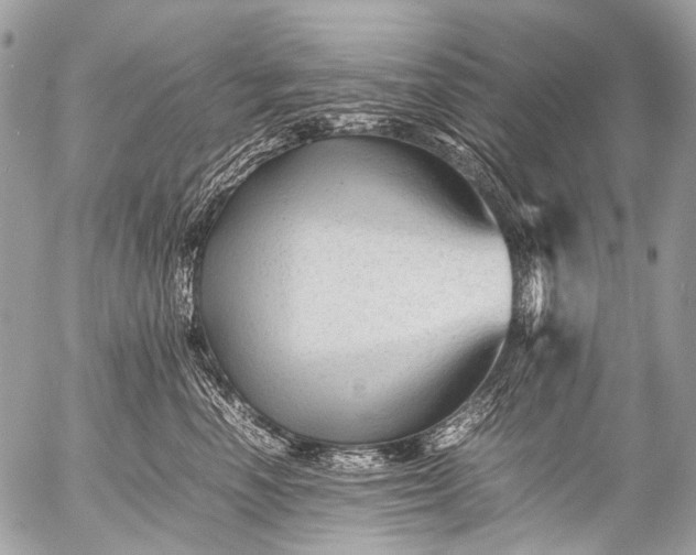 X0000053050666200507251424