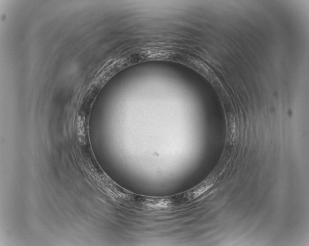 X0000053050667200507251424