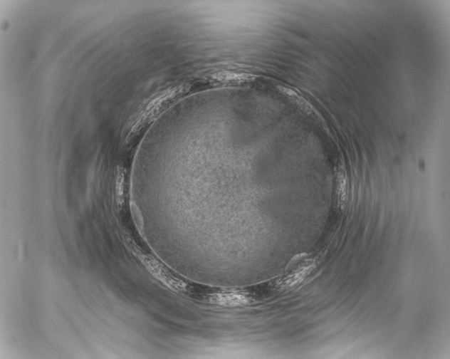 X0000053050668200507251424