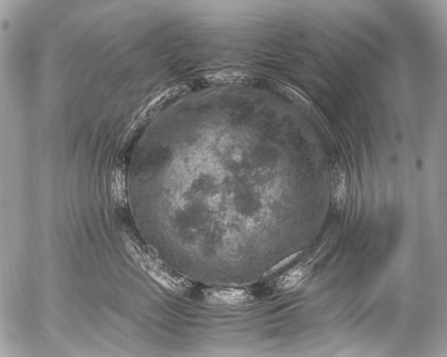 X0000053050669200507251424