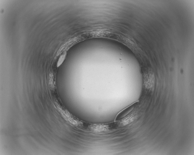 X0000053050670200507251424