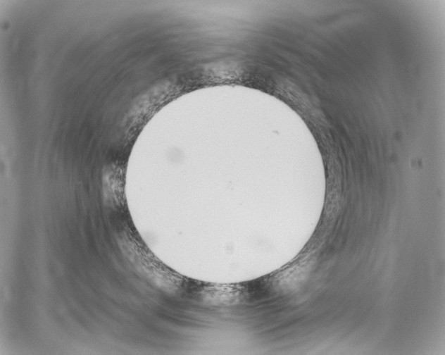 X0000053050672200507251424