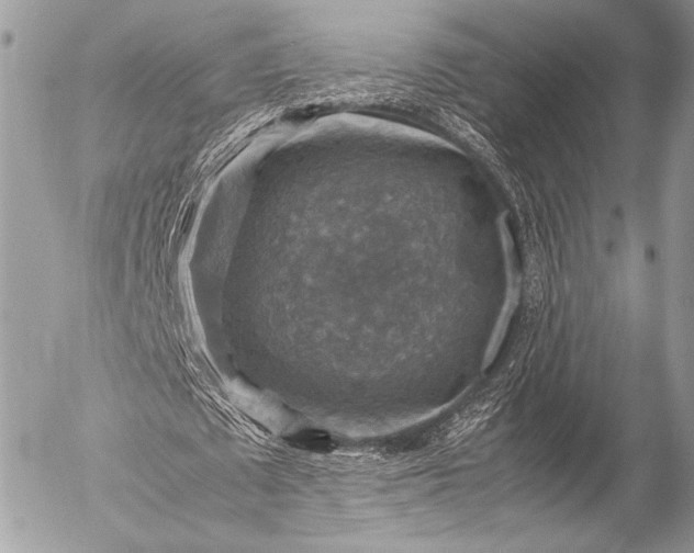 X0000053050673200507251424