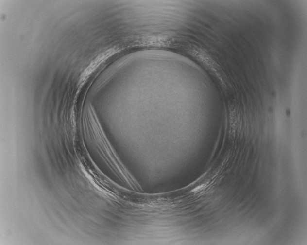 X0000053050674200507251424