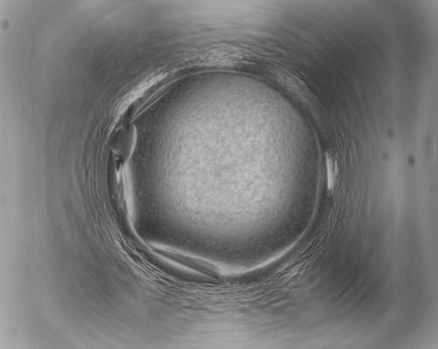 X0000053050675200507251424