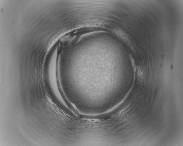 X0000053050676200507251424