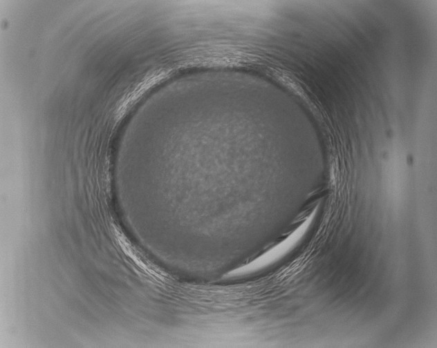 X0000053050677200507251423