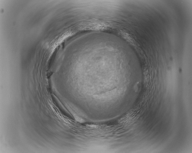 X0000053050679200507251423