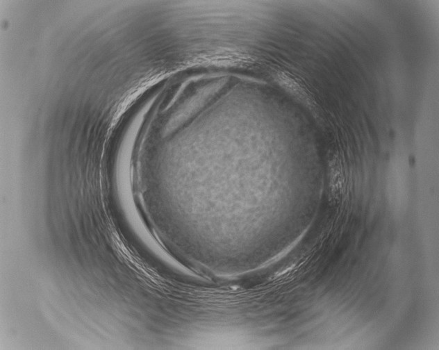 X0000053050680200507251423