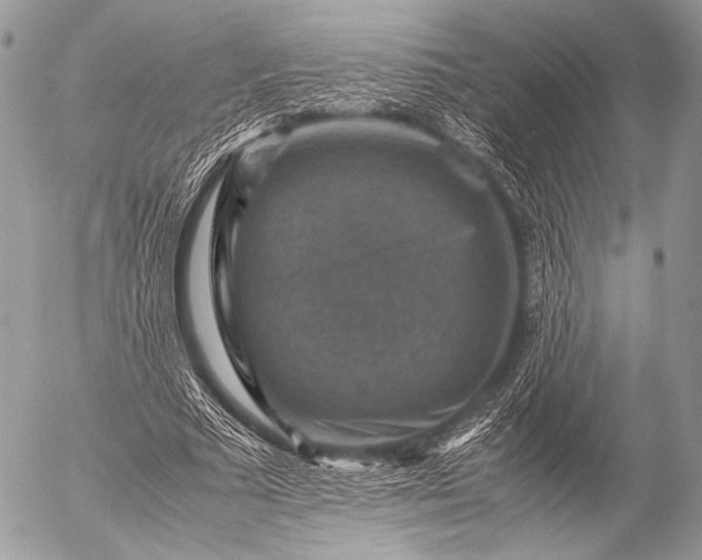 X0000053050681200507251423