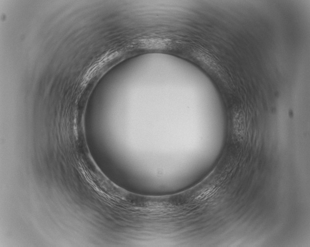 X0000053050682200507251423