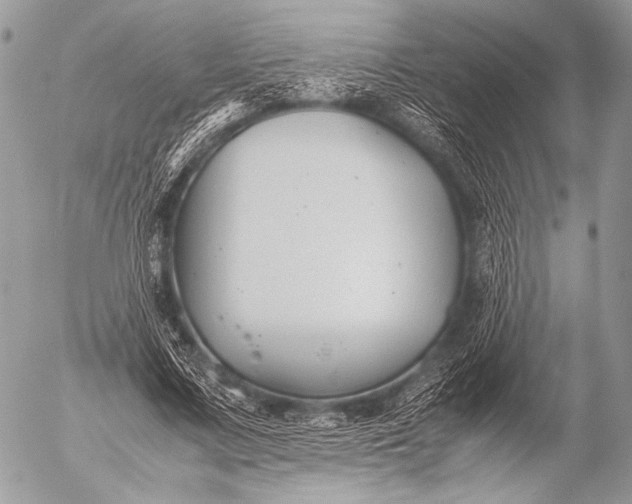 X0000053050683200507251423