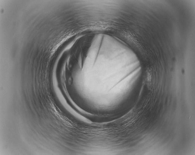 X0000053050684200507251423