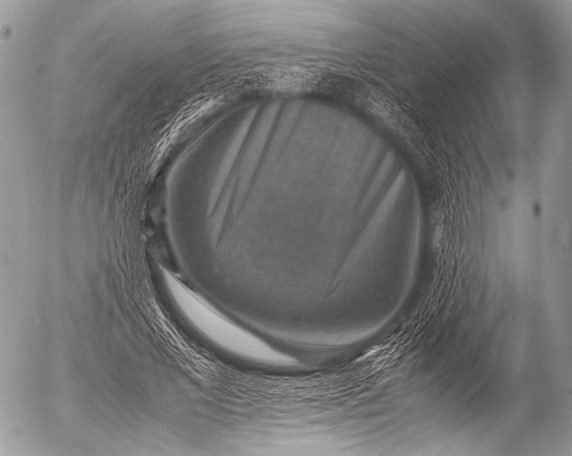 X0000053050685200507251423