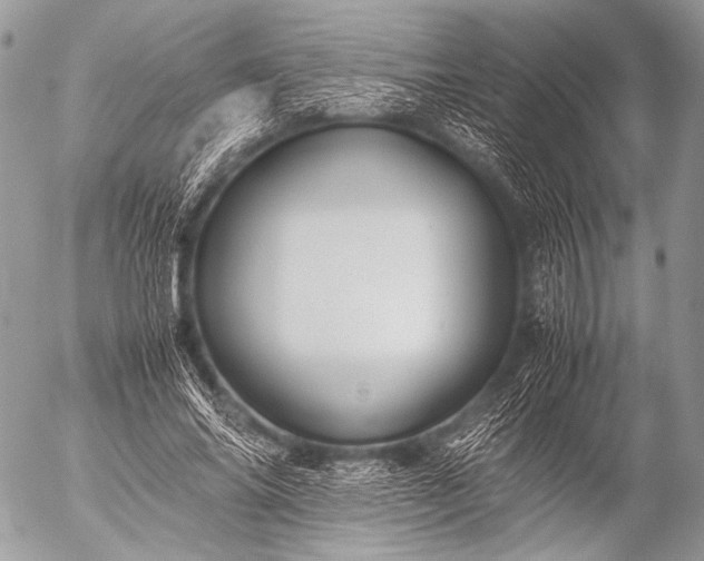 X0000053050686200507251423