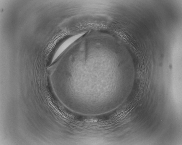 X0000053050687200507251423