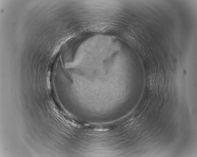 X0000053050688200507251423