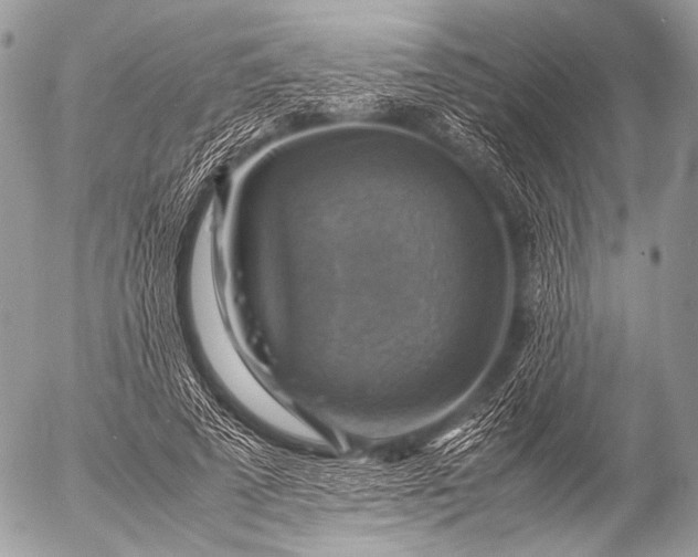 X0000053050689200507251423