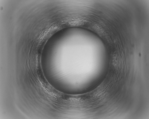 X0000053050690200507251423