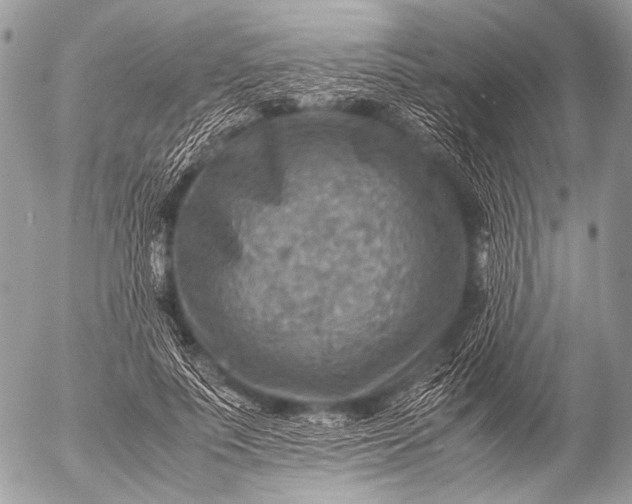 X0000053050691200507251423