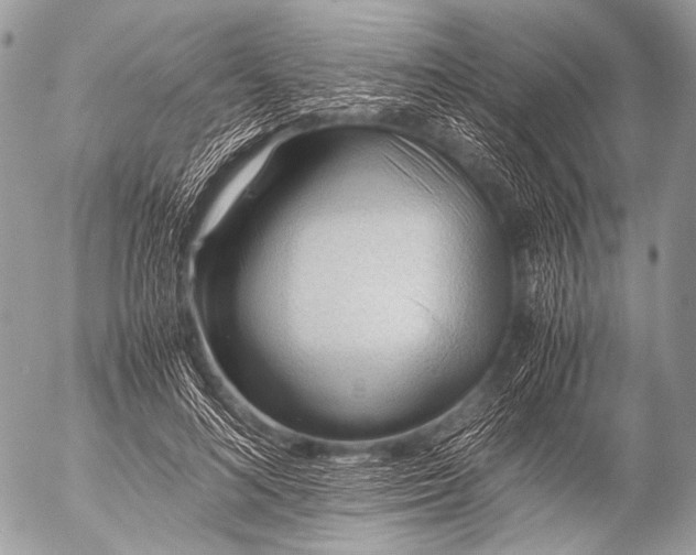 X0000053050692200507251423