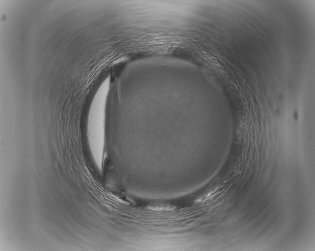 X0000053050693200507251423