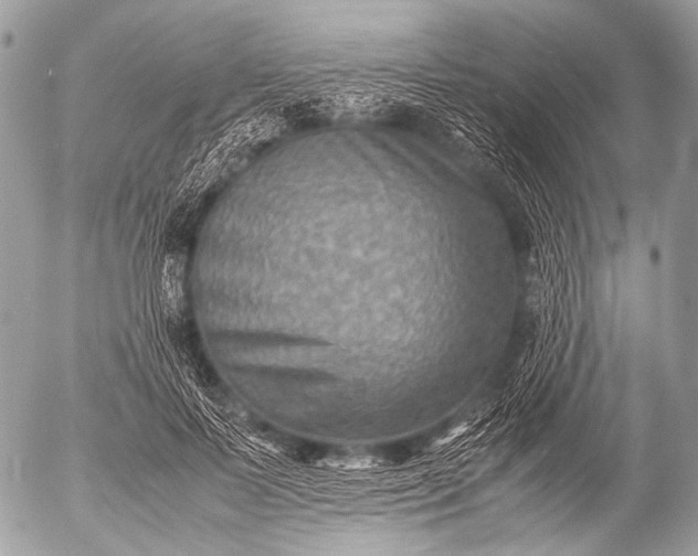 X0000053050695200507251423