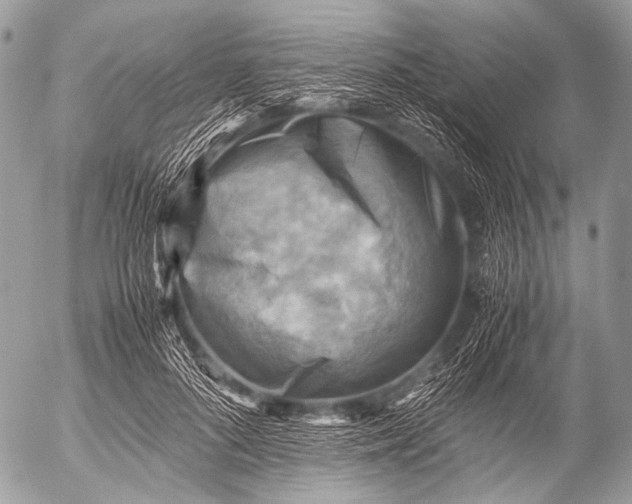 X0000053050696200507251423