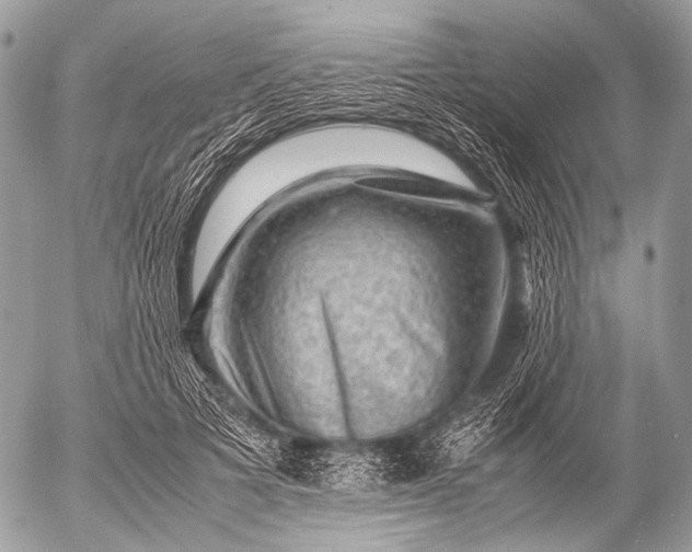 X0000053050697200507251423