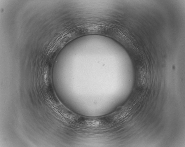 X0000053050698200507251423