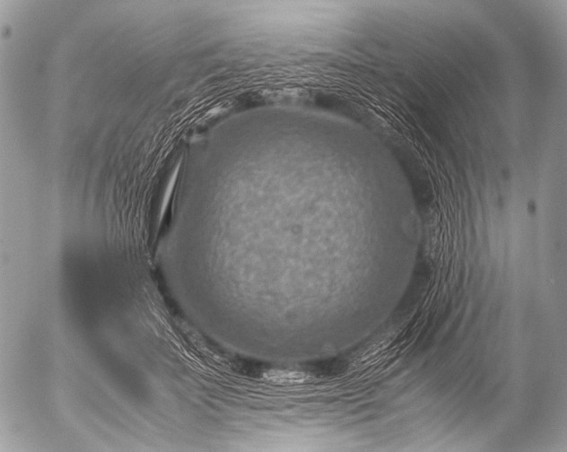 X0000053050699200507251423