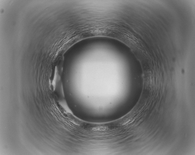 X0000053050700200507251423