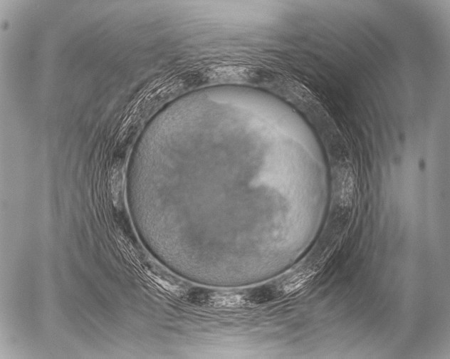 X0000053050701200507251423