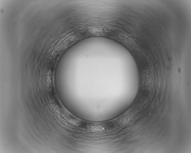 X0000053050702200507251423