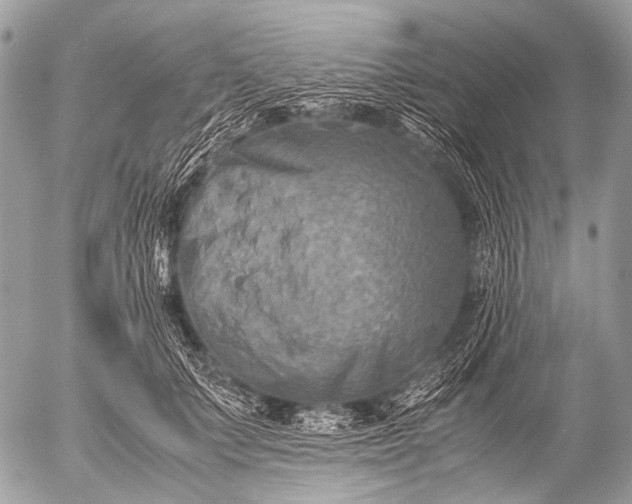 X0000053050703200507251423