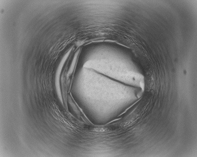 X0000053050704200507251423