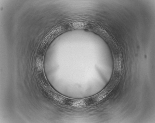 X0000053050705200507251423