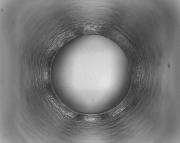 X0000053050706200507251423