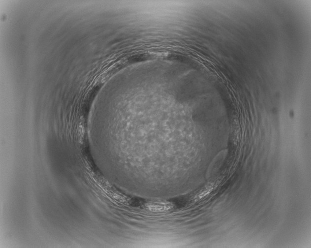 X0000053050707200507251423