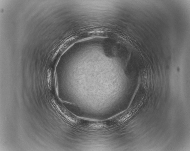 X0000053050708200507251423