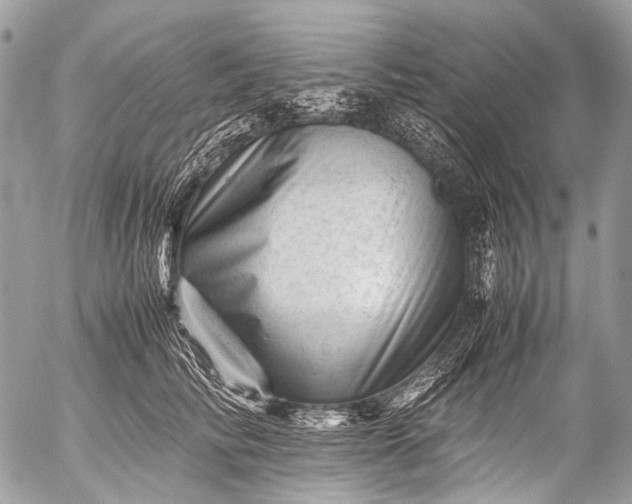 X0000053050710200507251423