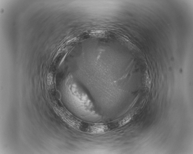 X0000053050711200507251423