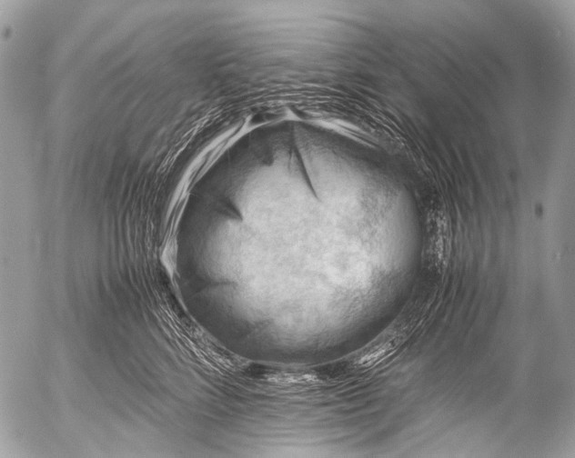 X0000053050712200507251423