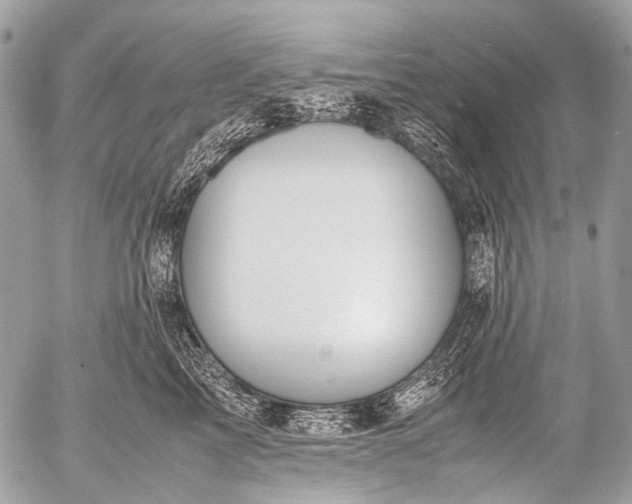 X0000053050713200507251423