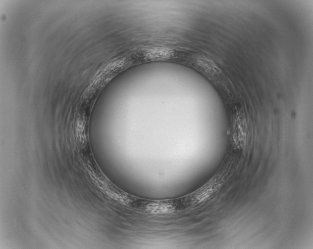 X0000053050714200507251423