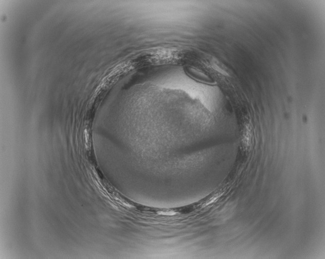 X0000053050715200507251423